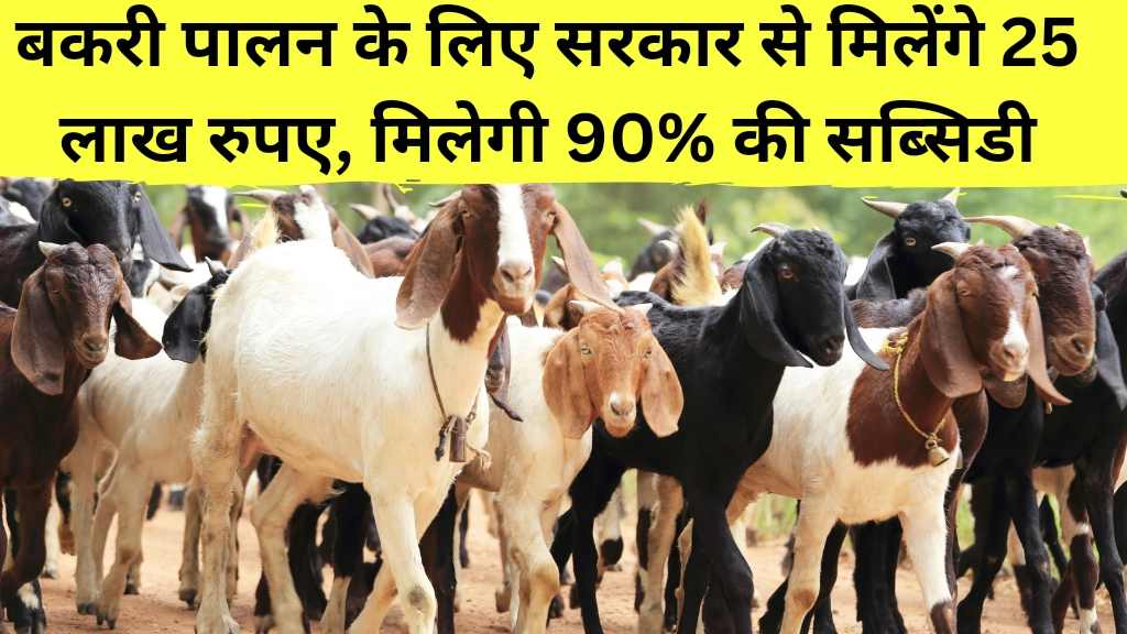 Goat Farming Loan 2024 : 2024 में बकरी पालन लोन: खेती को बढ़ावा देने के लिए सरकार की नई पहल