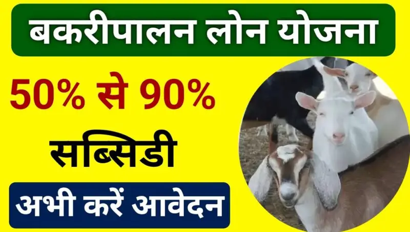 Goat Farming Loan 2024: बकरी पालन लोन 2024 में बकरी पालन के लिए ऋण कैसे प्राप्त करें, पात्रता, आवेदन प्रक्रिया और लाभ