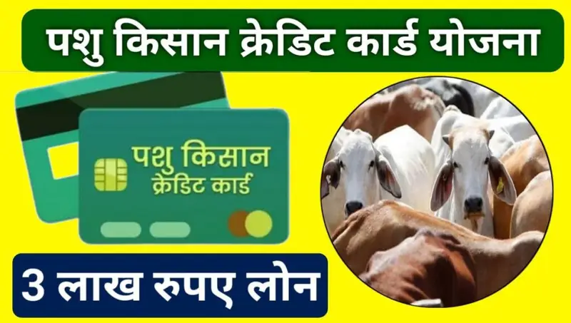 Pashu Kisan Credit card Yojana 2024: पशु किसान क्रेडिट कार्ड योजना 2024 में पशुपालकों के लिए महत्वपूर्ण जानकारी