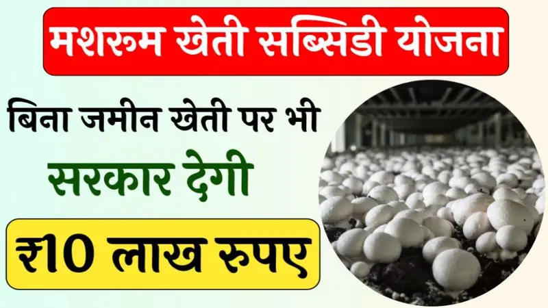 Mushroom Farming Subsidy Yojana: मशरूम farming सब्सिडी योजना